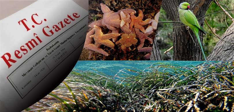 İSTİLACI YABANCI TÜRLERLE MÜCADELEDE İLK KAPSAMLI VE ÖZEL DÜZENLEME YÜRÜRLÜĞE GİRDİ